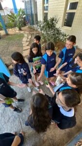 O 4º ano investigou animais invertebrados em uma experiência prática de Ciências.